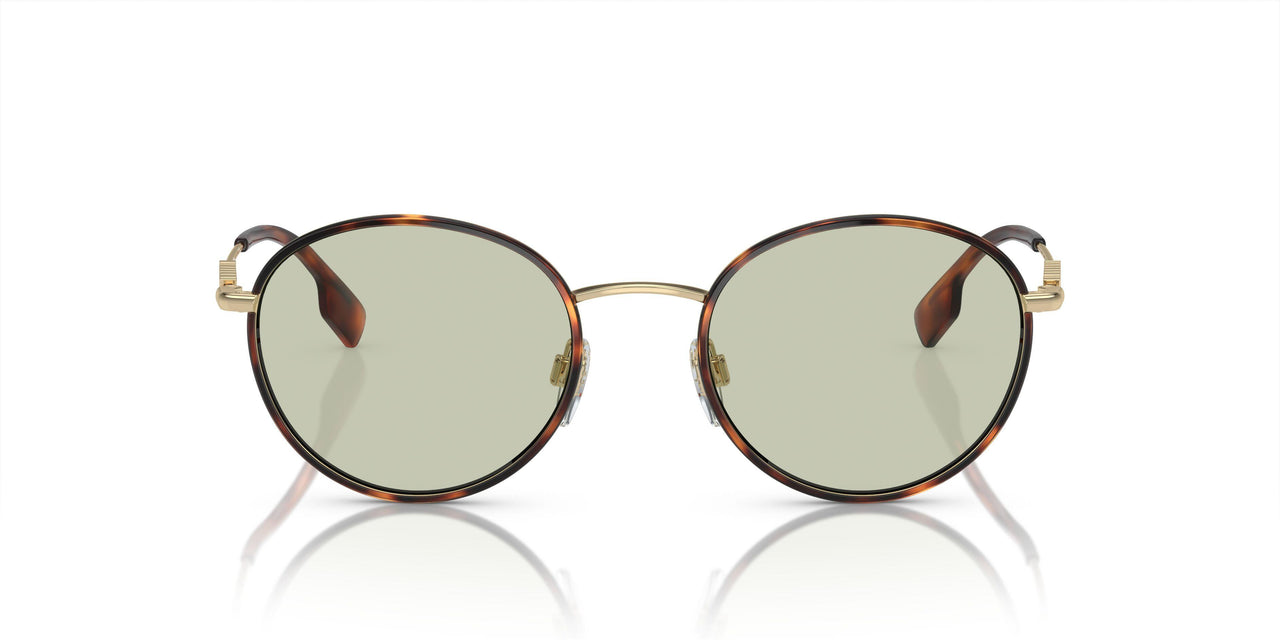 1109/2 - Tortoise - Light Green
