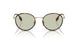 1109/2 - Tortoise - Light Green