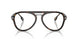 3002 - Brown