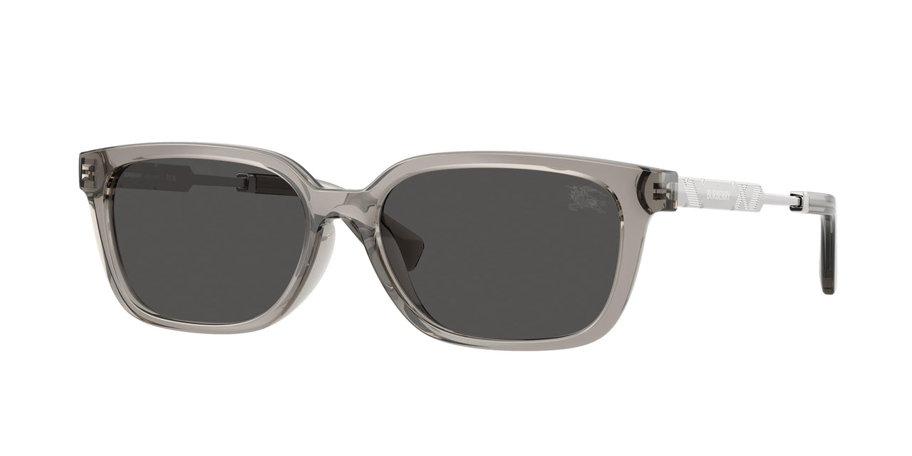 Burberry 4481D Sunglasses