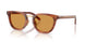 27F60F - Brown - Photogrey Extra Yellow