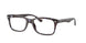 8424 - Havana Blue Turtle