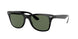 Ray-Ban Wayfarer Liteforce 4195F Sunglasses