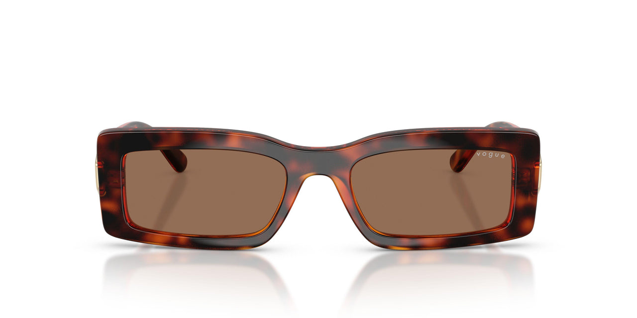 W65673 - Brown - Dark Brown