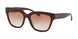 Coach L1082 8262 Sunglasses