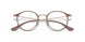 2973 - Brown
