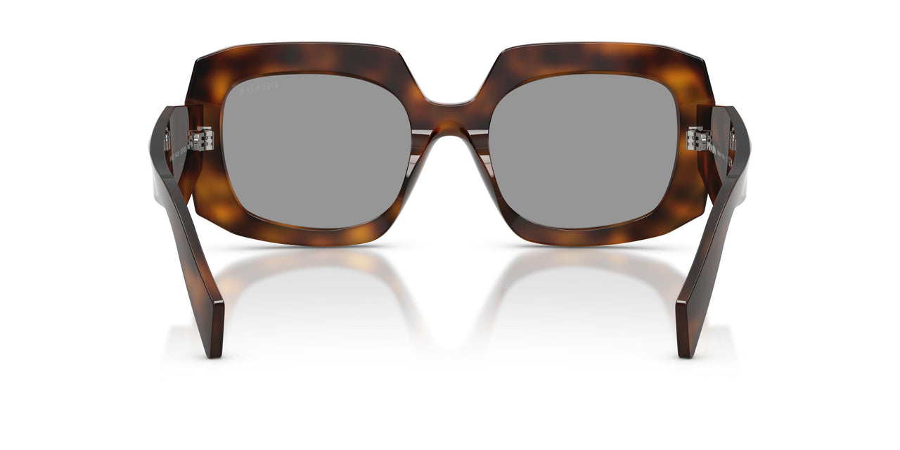 20D50Q - Havana - Grey