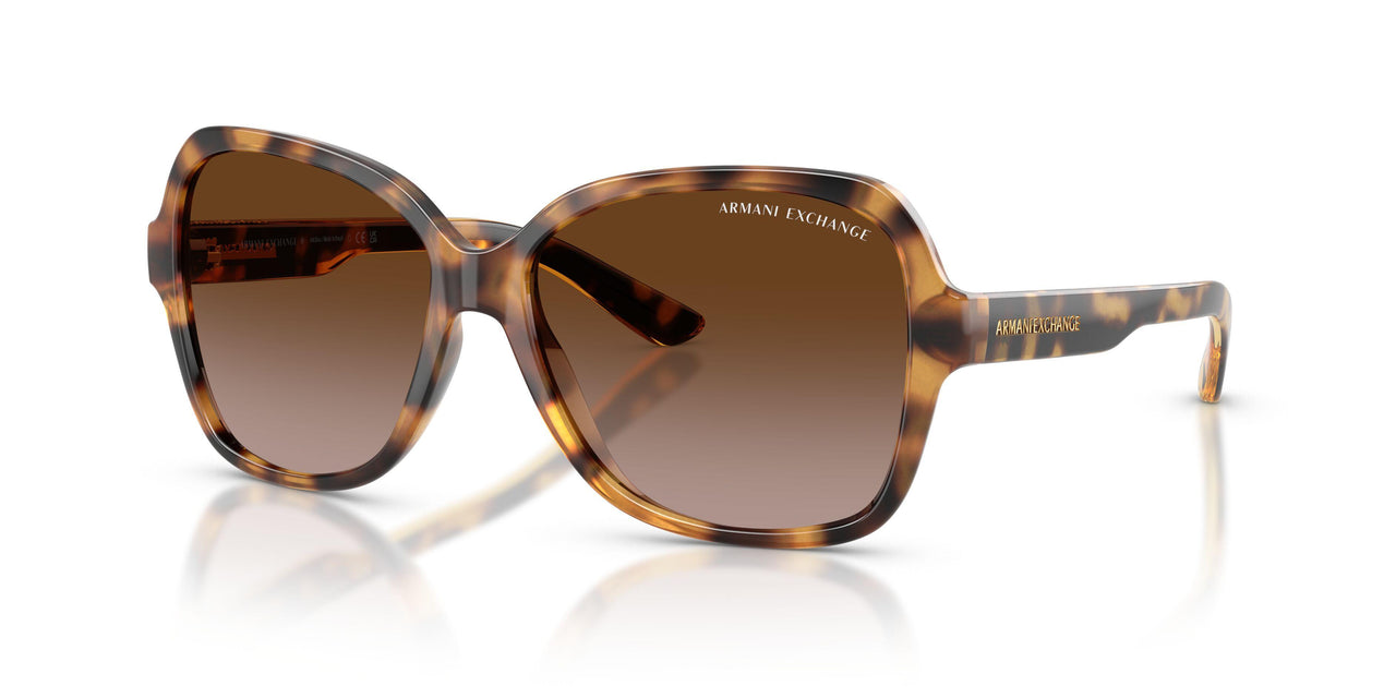 811713 - Havana - Dark Brown Gradient