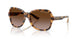 811713 - Havana - Dark Brown Gradient