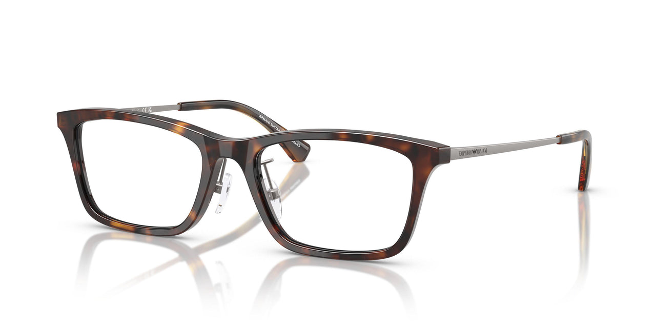 5026 - Tortoise