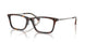5026 - Tortoise