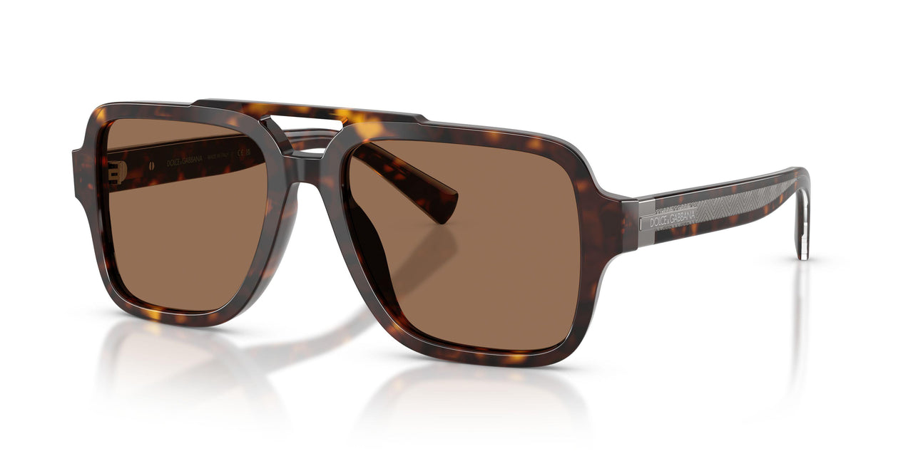 502/73 - Tortoise - Dark Brown