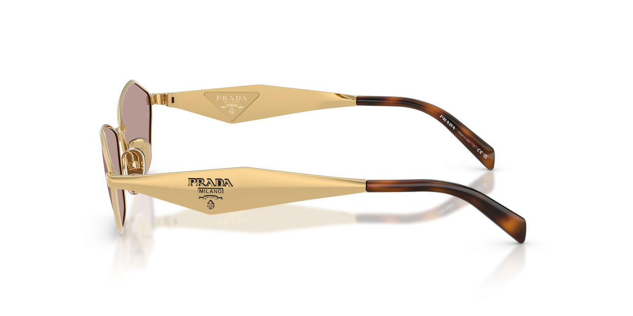 5AK20I - Gold - Light Purple Brown