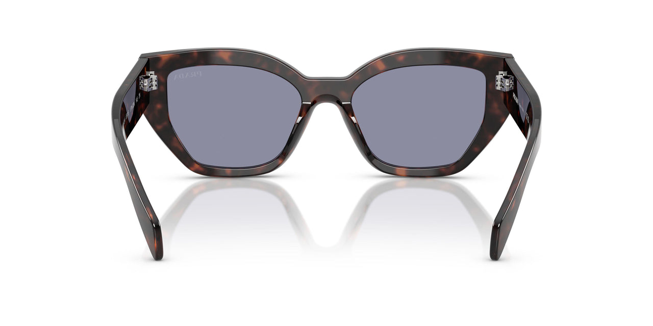 17N03N - Tortoise - Grey
