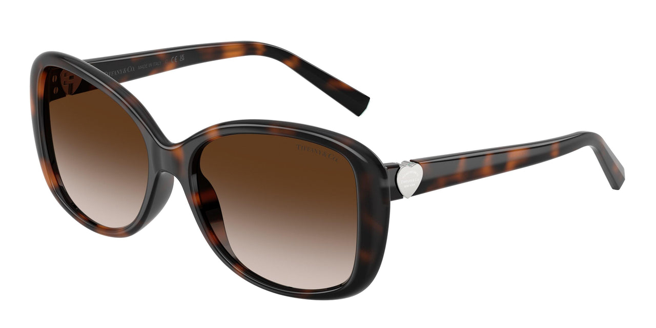 80153B - Tortoise - Brown Gradient