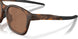 950703 - Brown - Prizm Tungsten