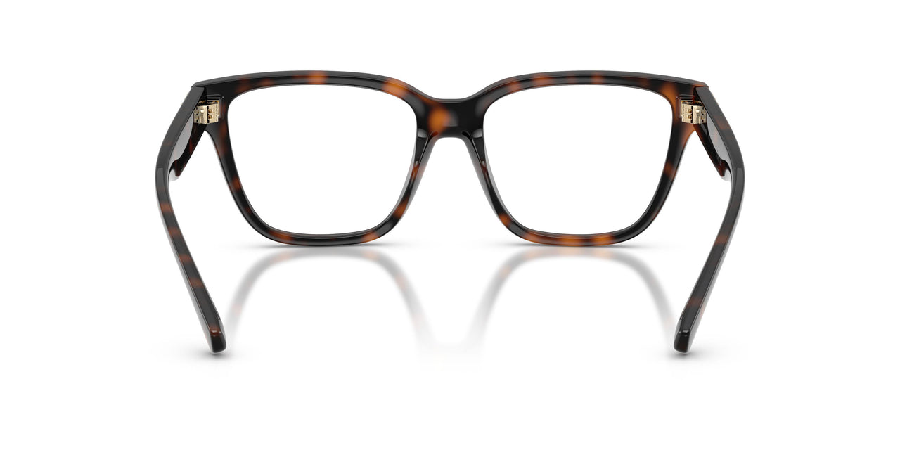 3002 - Brown