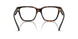 3002 - Brown