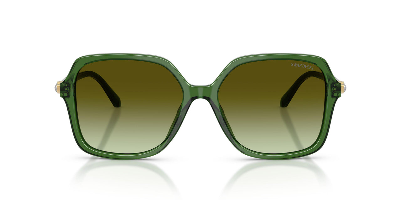 1081E8 - Green - Green Gradient Brown