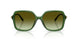 1081E8 - Green - Green Gradient Brown