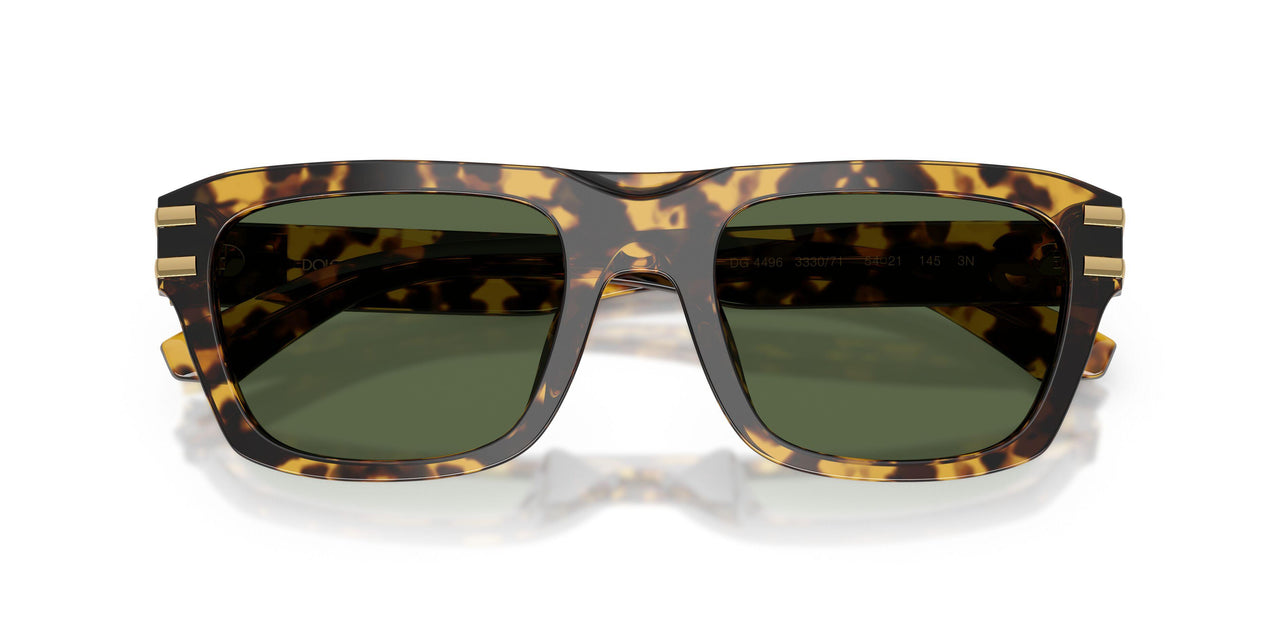 333071 - Tortoise - Dark Green