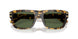 333071 - Tortoise - Dark Green