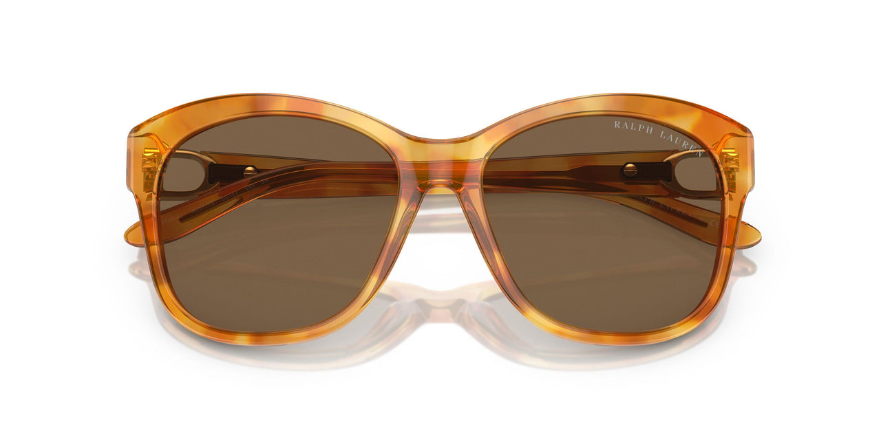 605173 - Tortoise - Brown