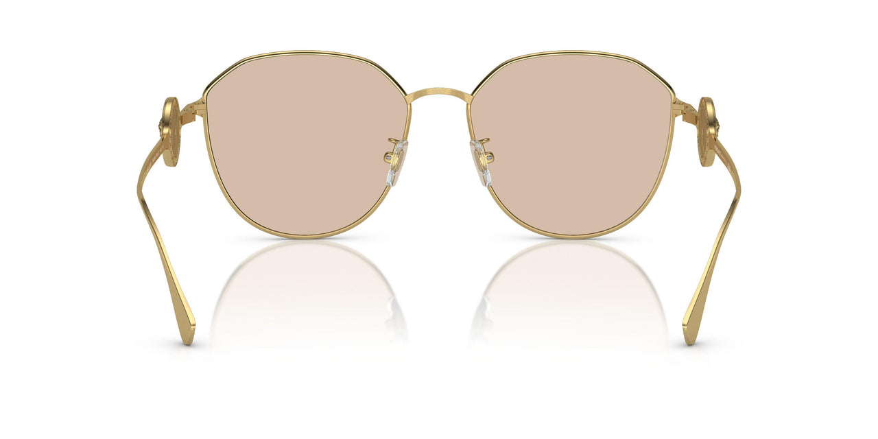 100293 - Gold - Light Brown