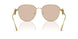 100293 - Gold - Light Brown
