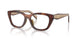 00K1O1 - Brown