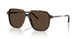 3002M4 - Tortoise - Brown Solid