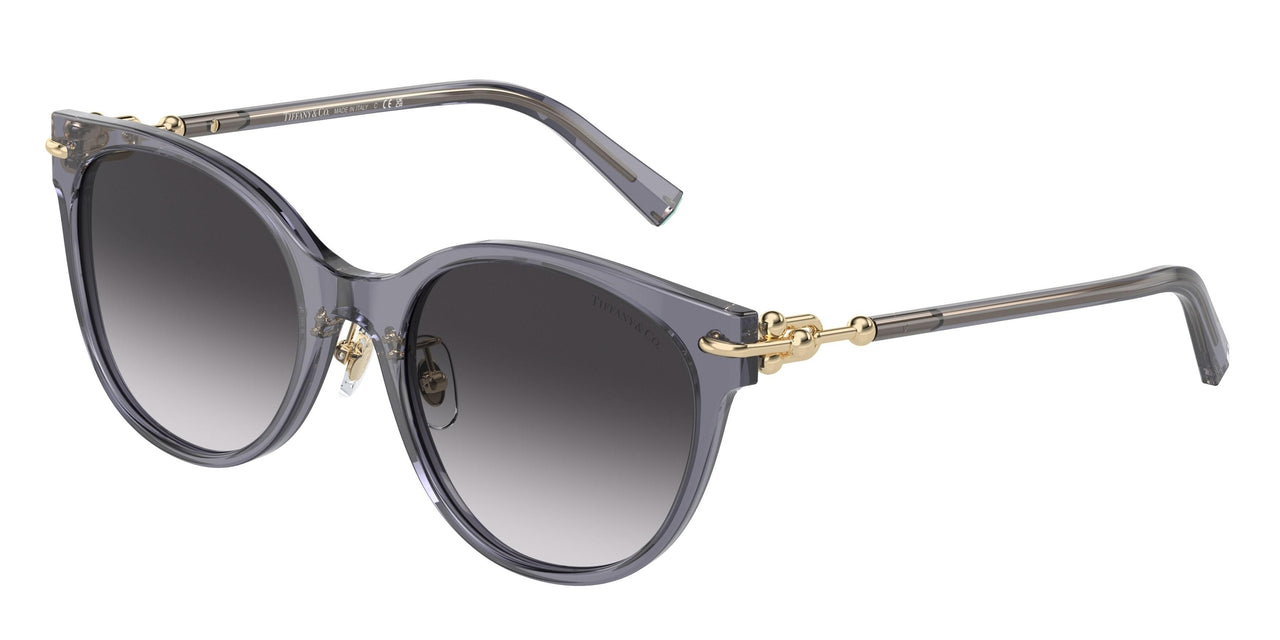 Tiffany 4223D Sunglasses