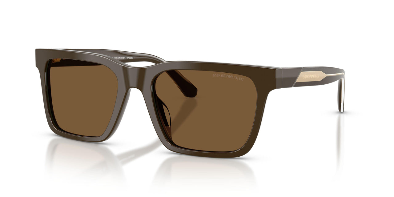 630773 - Brown - Brown