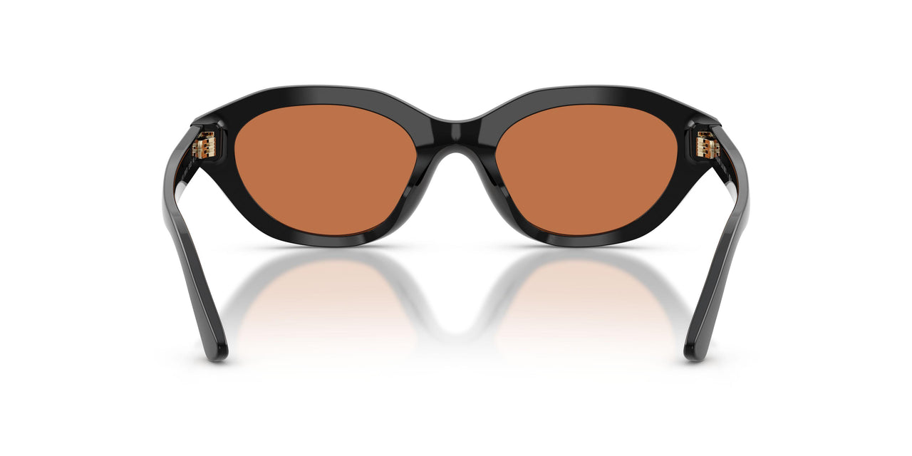 500173 - Black - Brown
