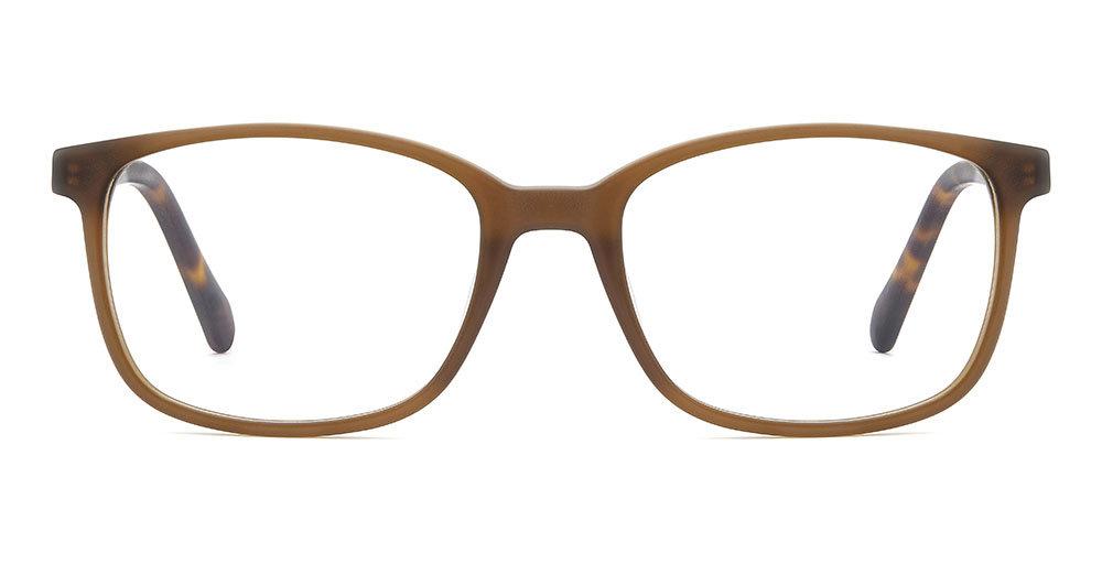 009Q-00 - BROWN