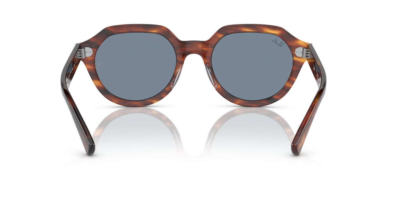954/62 - Brown - Blue