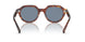 954/62 - Brown - Blue