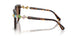 100273 - Tortoise - Dark Brown