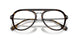 3002 - Brown