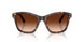 100274 - Tortoise - Gradient Brown