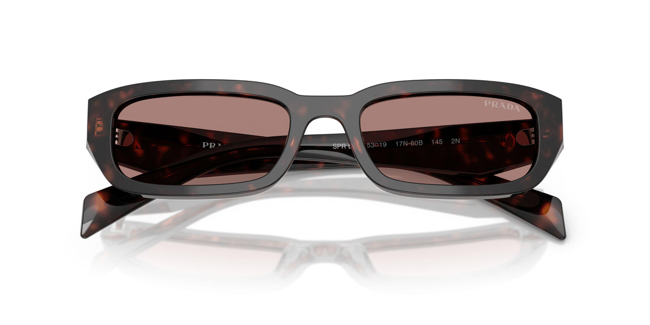 17N60B - Tortoise - Light Brown