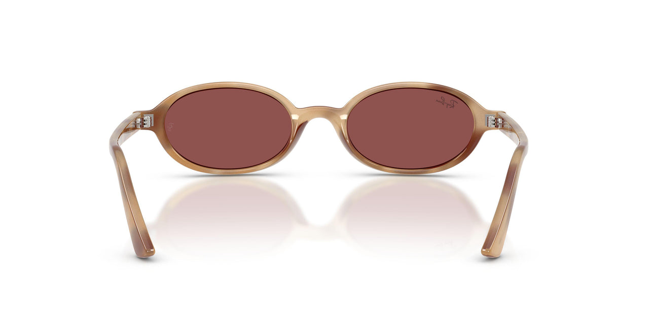685675 - Tortoise - Dark Violet