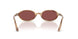 685675 - Tortoise - Dark Violet