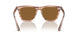 172652 - Brown - True Brown