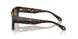 612433 - Tortoise - Brown