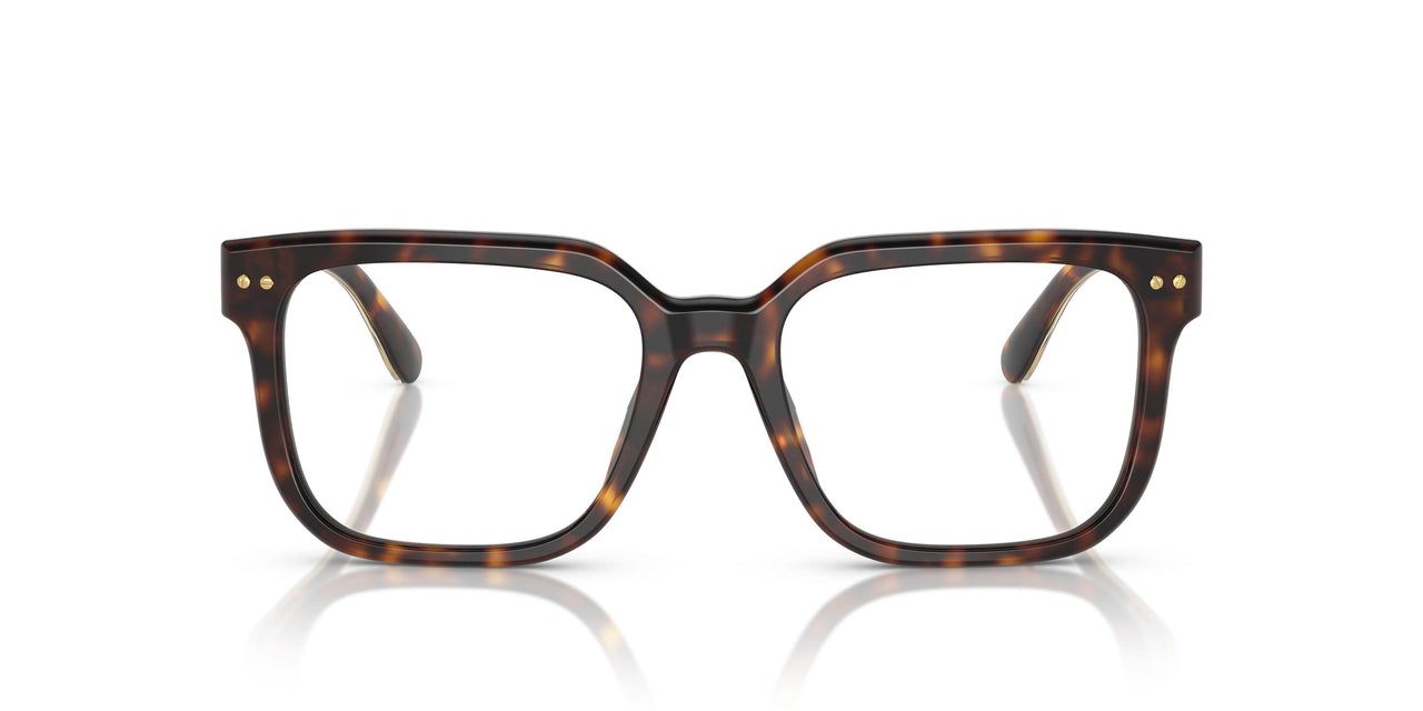 5003 - Brown