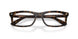 8484 - Tortoise - Clear
