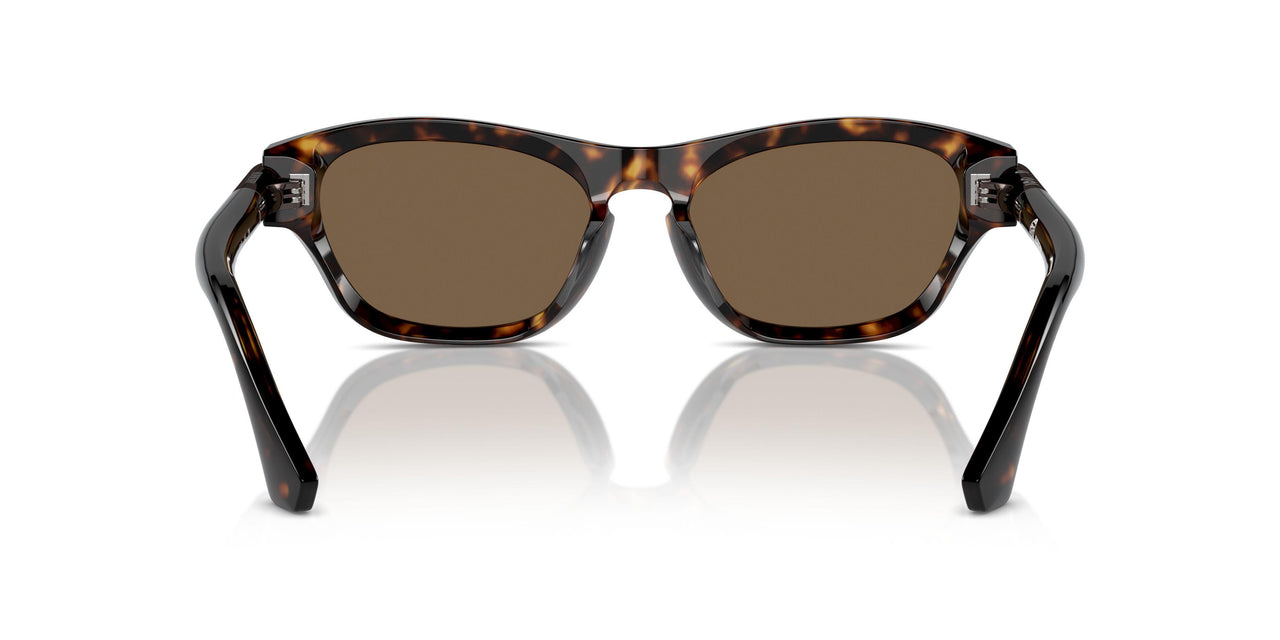 300273 - Brown - Dark Brown