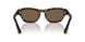 300273 - Brown - Dark Brown