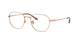 Ray-Ban 8777D Eyeglasses
